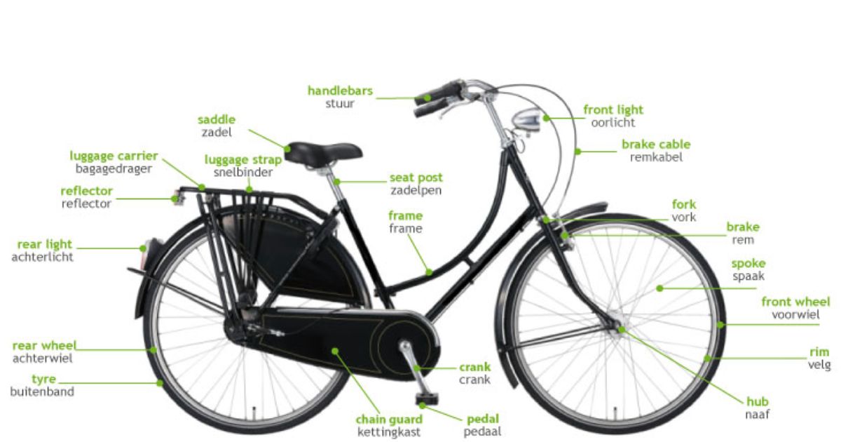 Features and Components of Giant Bikes